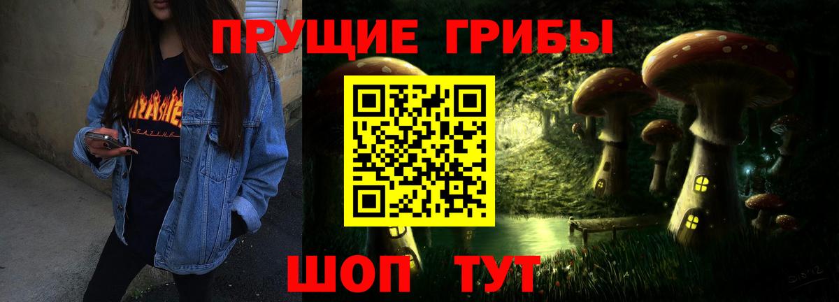 Псилоцибиновые грибы GOLDEN TEACHER Волгодонск